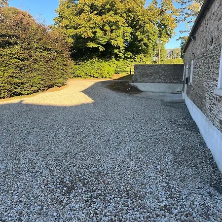 Chestnut Ballindrum R14yw02 Athy