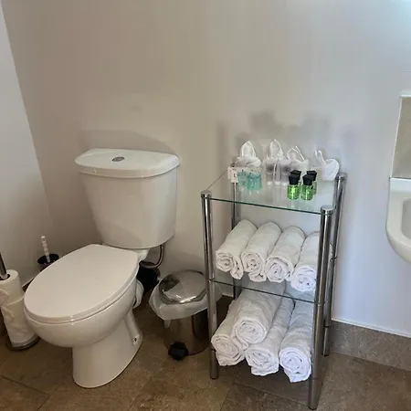 Chestnut Ballindrum R14yw02