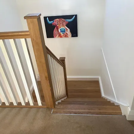 Chestnut Ballindrum R14yw02 *