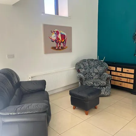 Chestnut Ballindrum R14yw02 Athy