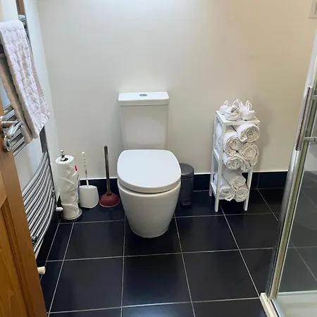 Chestnut Ballindrum R14yw02 Athy