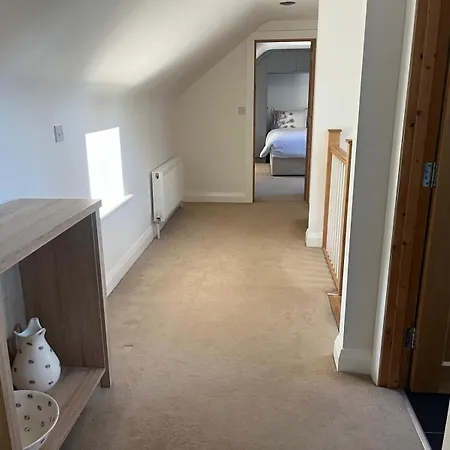 Chestnut Ballindrum R14yw02