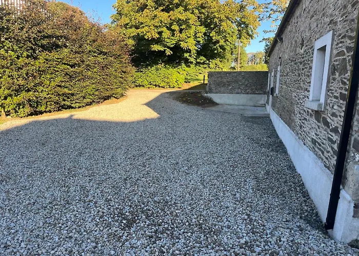Chestnut Ballindrum R14yw02 Атай